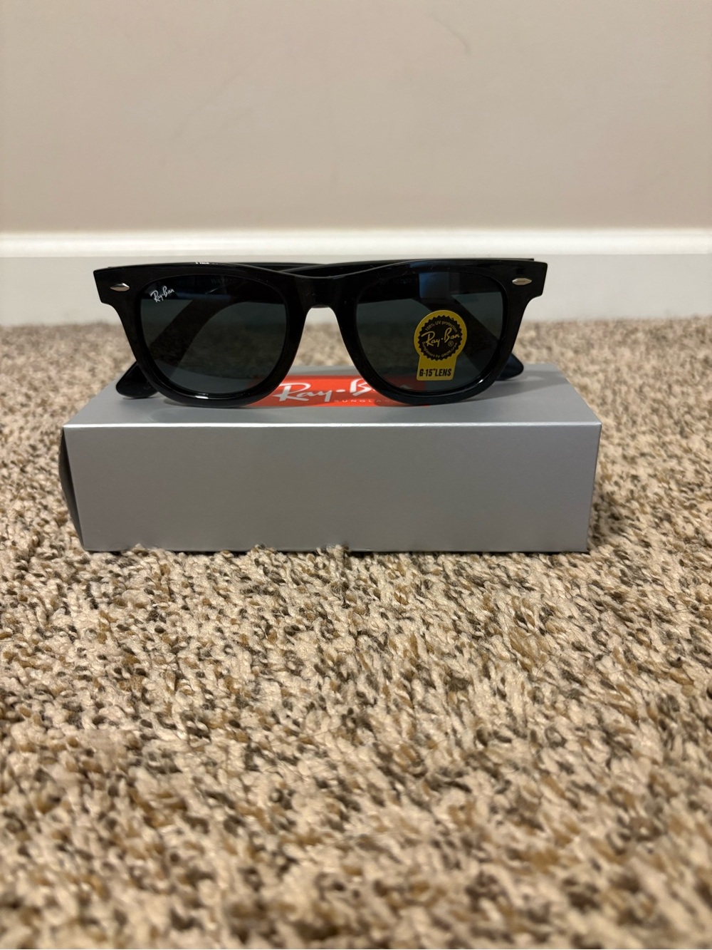 Ray-Ban Black Wayfarer Sunglasses with Dark Lenses